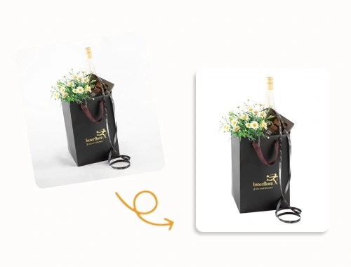 Ecommerce-Image-Editing